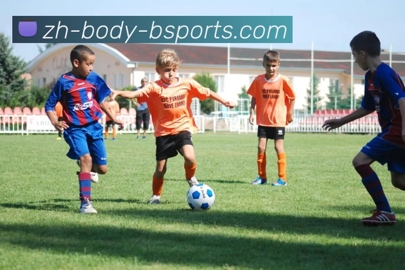 B体育平台生态图