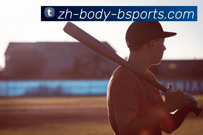 B体育APP 封面图